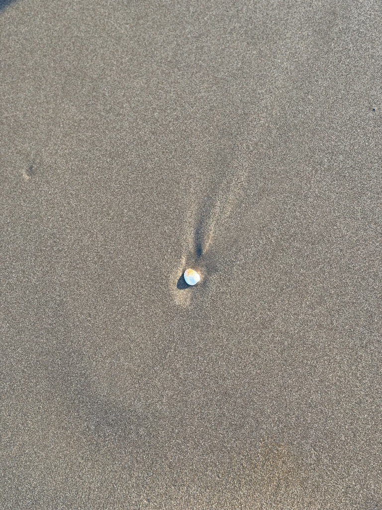 Editorial collage for personal blog